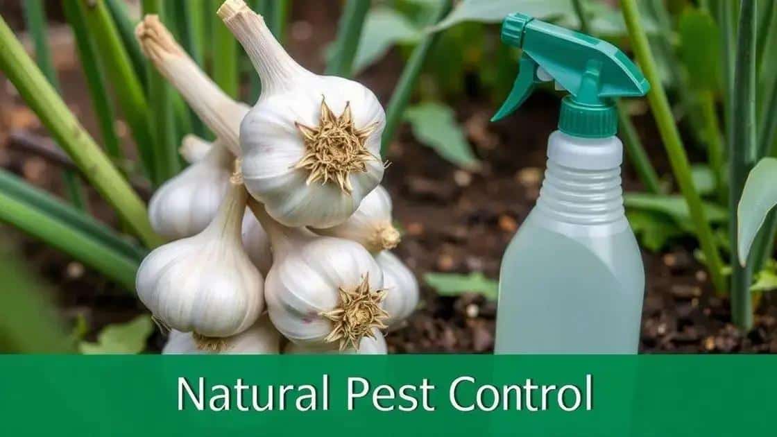 Leia mais sobre o artigo A Fórmula Exata do Inseticida de Alho que os Agricultores Orgânicos Usam