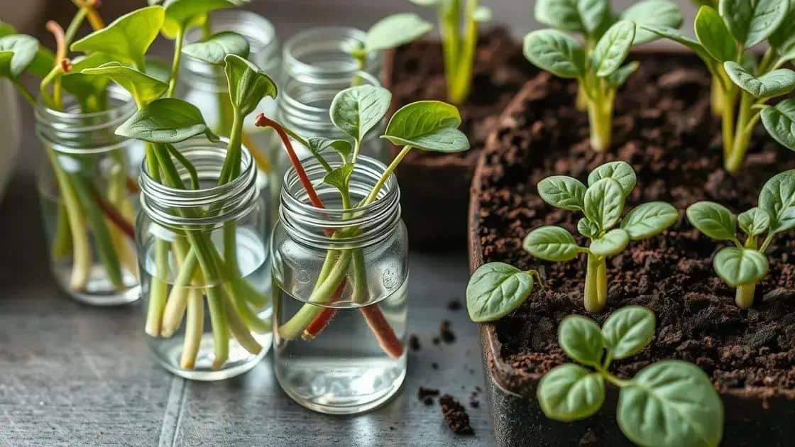 Como fazer mudas a partir de folhas e galhos