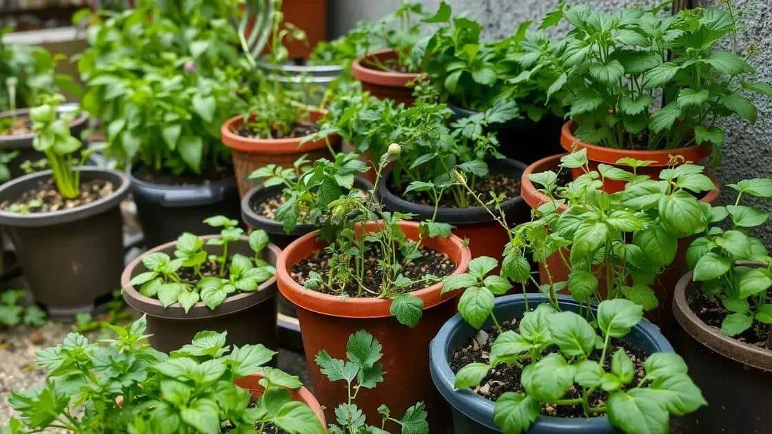 No momento, você está visualizando Jardim funcional até em apartamentos