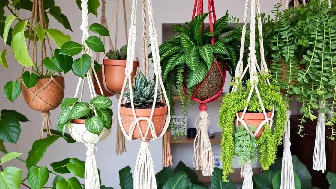 Dicas de plantas que se destacam em suportes de macramê