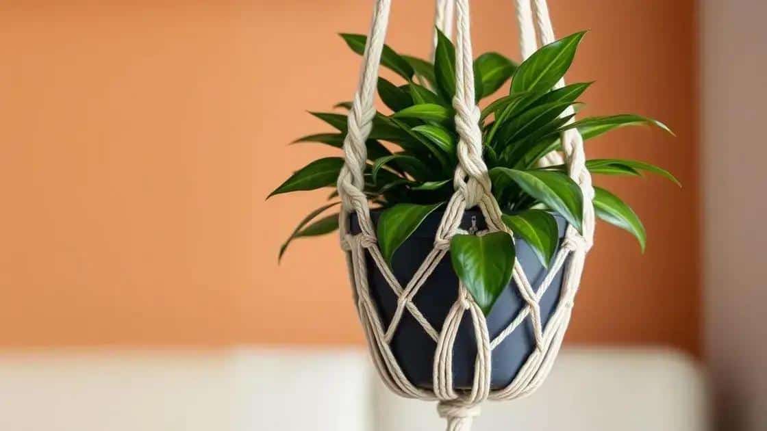 tecnica de macrame industrial suportes que aguentam vasos de ate 15kg