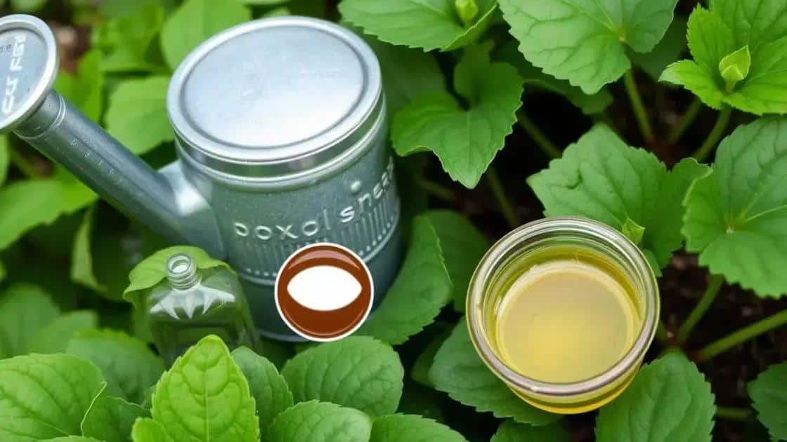 Soluções caseiras para recuperar folhas amareladas