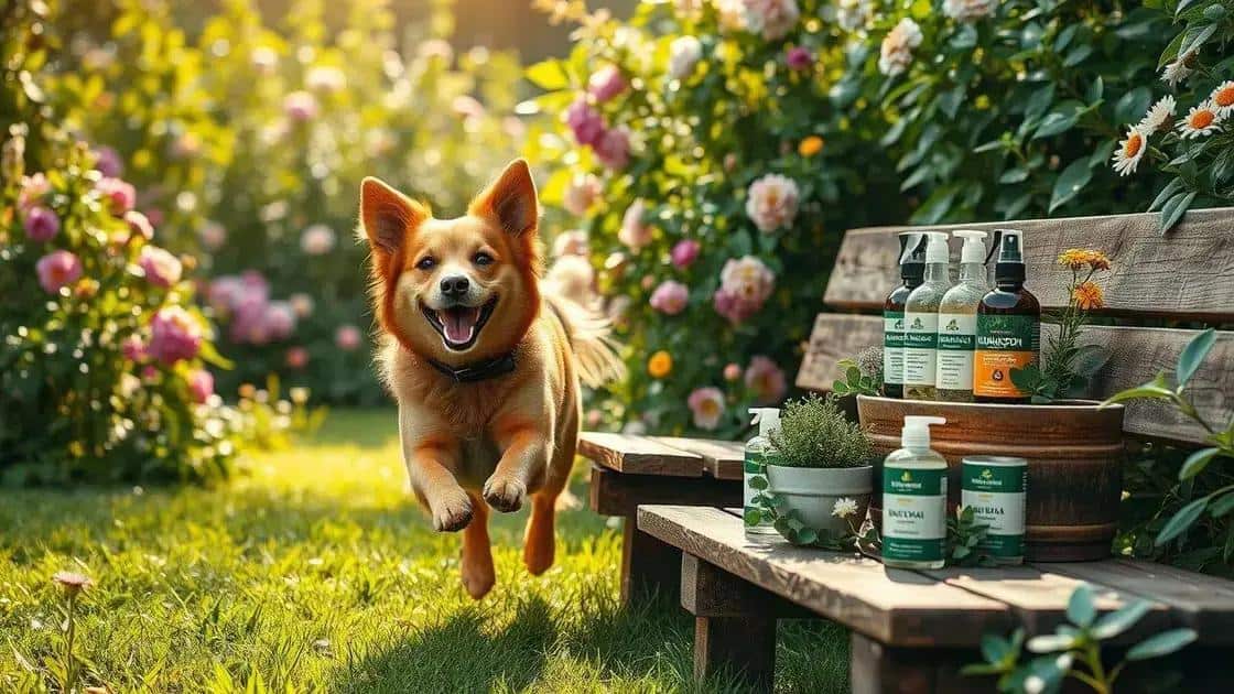 No momento, você está visualizando Plantas que ajudam a manter pulgas longe dos seus pets